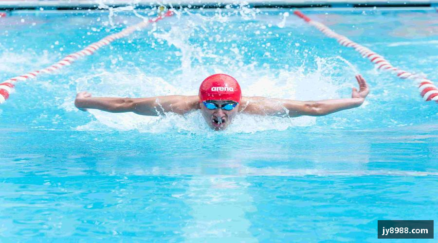 熊猫体育直播奋勇向前，梦想无限